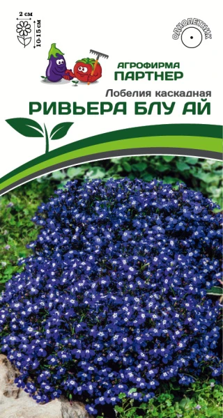 Партнер Лобелия каскадная РИВЬЕРА БЛУ АЙ ^(10шт в амп), изображение 0