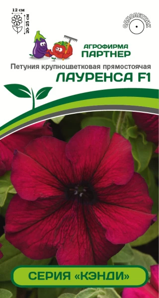 Партнер Петуния серия "Кэнди" ЛАУРЕНСА F1 /крупноцветковая прямостоячая бургунди ^(5шт в амп), изображение 0